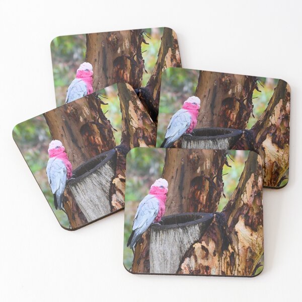 Item preview, A Splash of Pink in the Bush designed and sold by wendyhattonphotography.