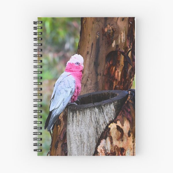 Item preview, A Splash of Pink in the Bush designed and sold by wendyhattonphotography.