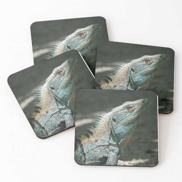 Item preview, Blue Iguana Close-Up Portrait – Tropical Wildlife Photography designed and sold by WildFrameNature.