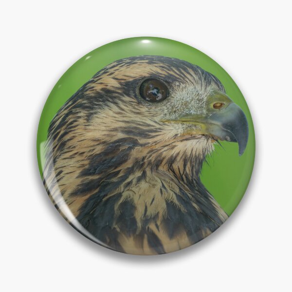 Item preview, Wild Hawk Close-Up Portrait – Raptor Eye Detail Costa Rica designed and sold by WildFrameNature.