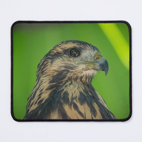 Item preview, Wild Hawk Close-Up Portrait – Raptor Eye Detail Costa Rica designed and sold by WildFrameNature.