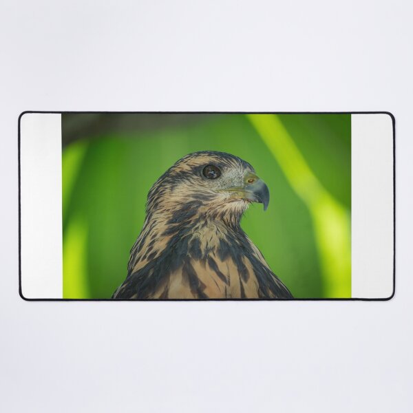 Item preview, Wild Hawk Close-Up Portrait – Raptor Eye Detail Costa Rica designed and sold by WildFrameNature.