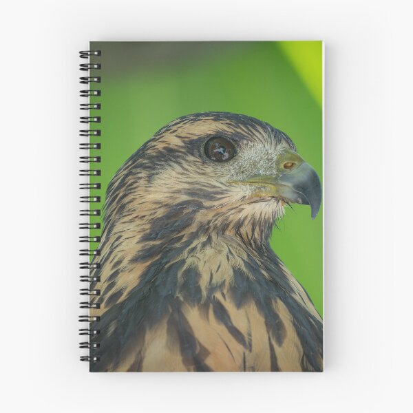 Item preview, Wild Hawk Close-Up Portrait – Raptor Eye Detail Costa Rica designed and sold by WildFrameNature.