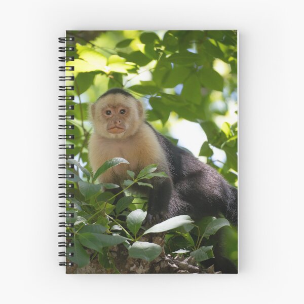Item preview, White-faced Capuchin Monkey in Jungle Canopy – Costa Rica Wildlife designed and sold by WildFrameNature.
