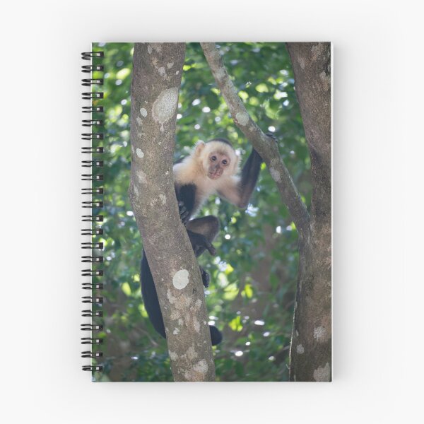 Item preview, Young Capuchin Monkey Climbing Tree – Cute Jungle Wildlife Photo designed and sold by WildFrameNature.