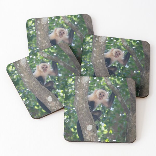 Item preview, Young Capuchin Monkey Climbing Tree – Cute Jungle Wildlife Photo designed and sold by WildFrameNature.