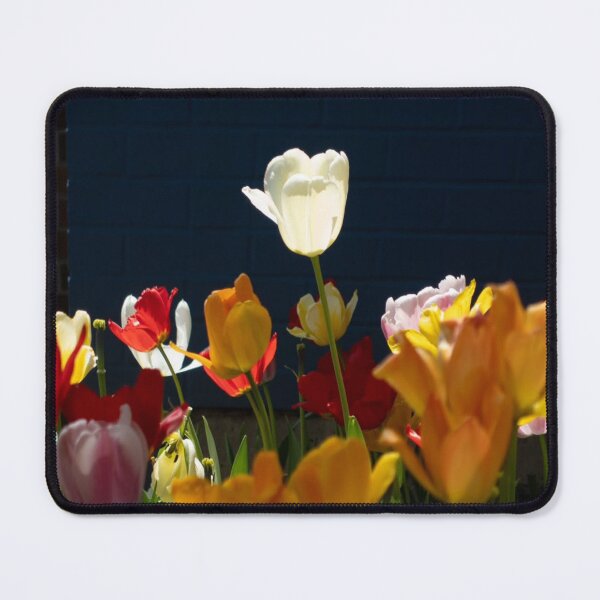 Item preview, Toronto James Cook University Neon Skyline designed and sold by Kiftsgategarden.