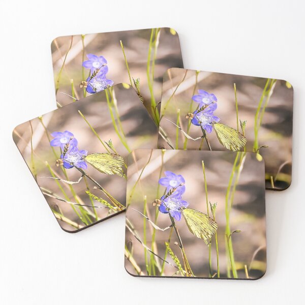 Item preview, Golden Wings designed and sold by wendyhattonphotography.