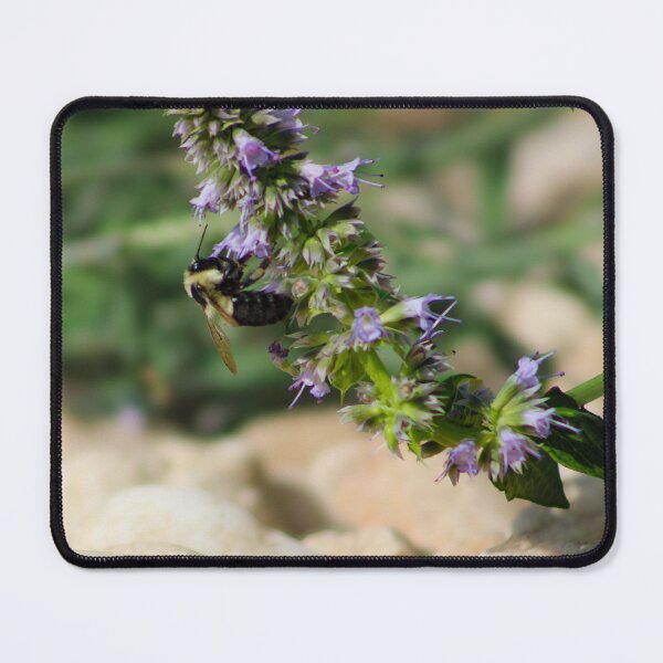 Item preview, Bumblebee Hang designed and sold by Birds & Beans Photography.