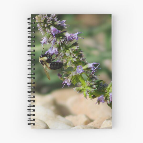 Item preview, Bumblebee Hang designed and sold by Birds & Beans Photography.