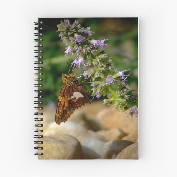 Item preview, Butterfly Attractor designed and sold by Birds & Beans Photography.