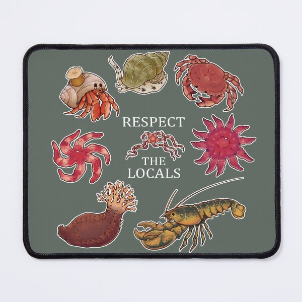 Item preview, Touch Tank Invertebrates of Atlantic Canada designed and sold by f1shbone.