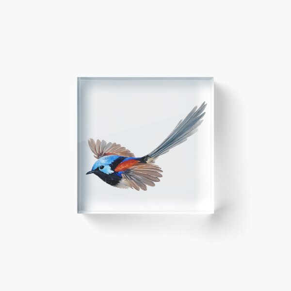 Item preview, Variegated Fairy-Wren in Flight: Painted Fairy-Wren designed and sold by Jaruart.