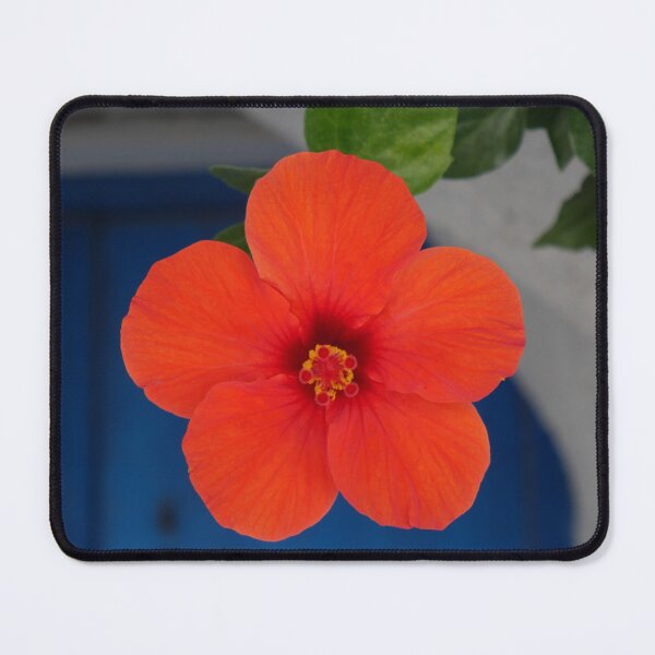 Item preview, Red Hibiscus Flower on a Greek Island designed and sold by olivia-wilbur.
