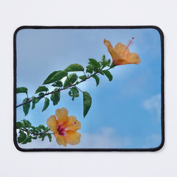 Item preview, Two Yellow Hibiscus in Hawaii designed and sold by olivia-wilbur.