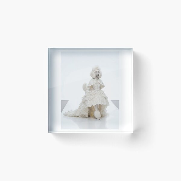 Item preview, Poodle Haute Couture Model designed and sold by PictoVibe.