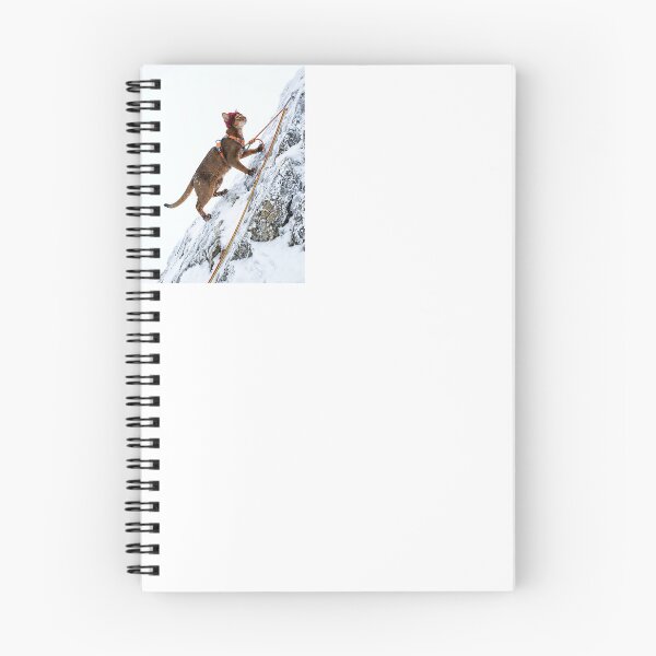 Item preview, Abyssinian Cat Mountain Climber designed and sold by PictoVibe.