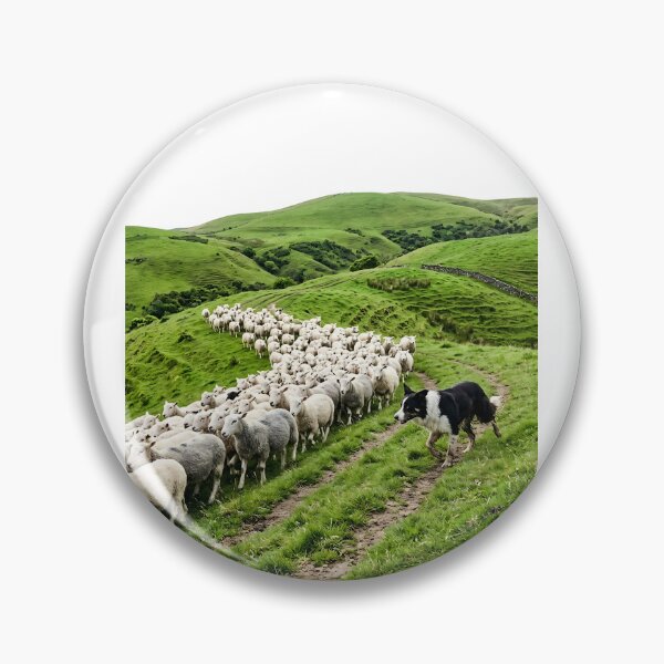 Item preview, Border Collie Sheepdog Champion designed and sold by PictoVibe.