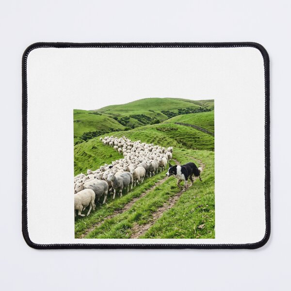 Item preview, Border Collie Sheepdog Champion designed and sold by PictoVibe.