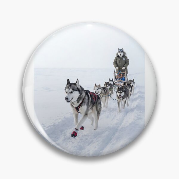 Item preview, Husky Arctic Sled Champion designed and sold by PictoVibe.
