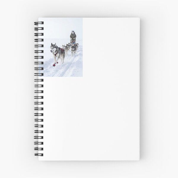 Item preview, Husky Arctic Sled Champion designed and sold by PictoVibe.
