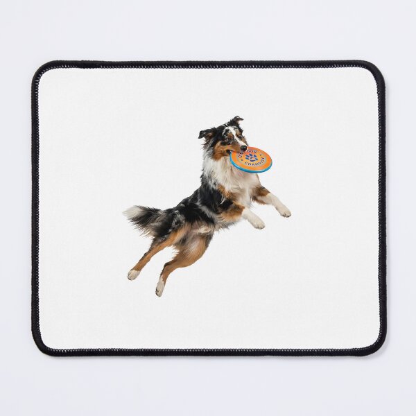 Item preview, Australian Shepherd Frisbee Champion designed and sold by PictoVibe.