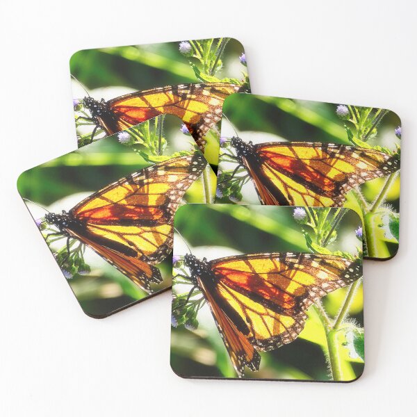 Item preview, Sunlit Wings designed and sold by wendyhattonphotography.