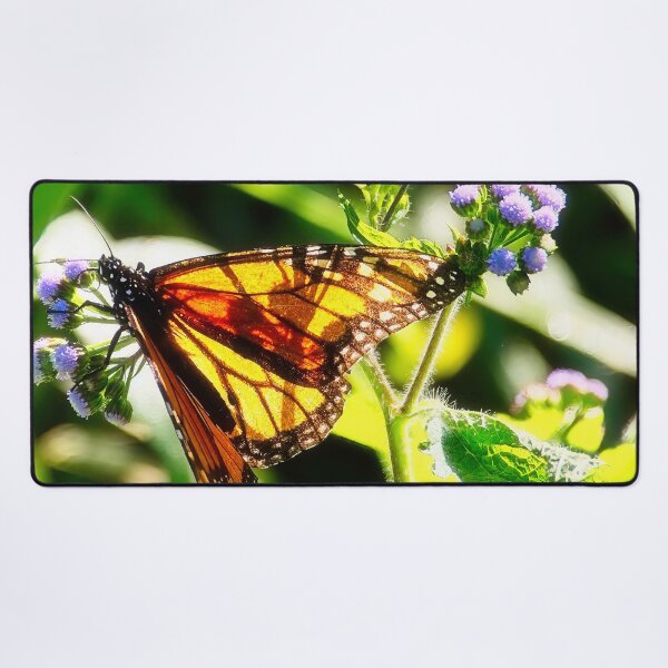 Item preview, Sunlit Wings designed and sold by wendyhattonphotography.