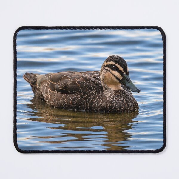 Item preview, Still Waters, Quiet Moments designed and sold by wendyhattonphotography.