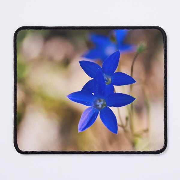 Item preview, Sapphire Stars designed and sold by wendyhattonphotography.