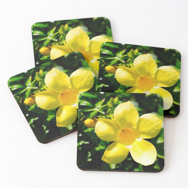 Item preview, Golden Bloom in Sunlight designed and sold by wendyhattonphotography.