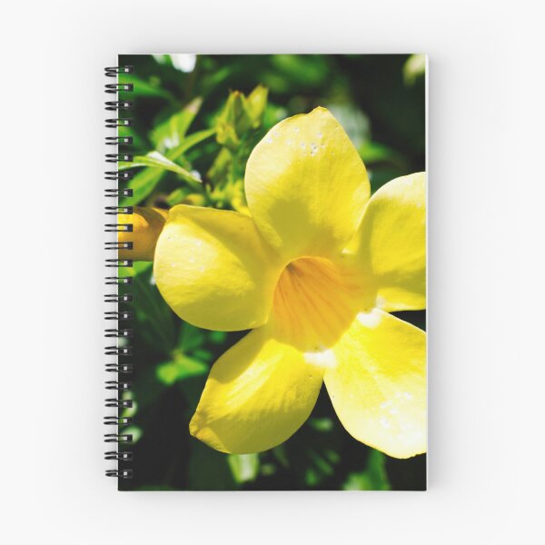Item preview, Golden Bloom in Sunlight designed and sold by wendyhattonphotography.