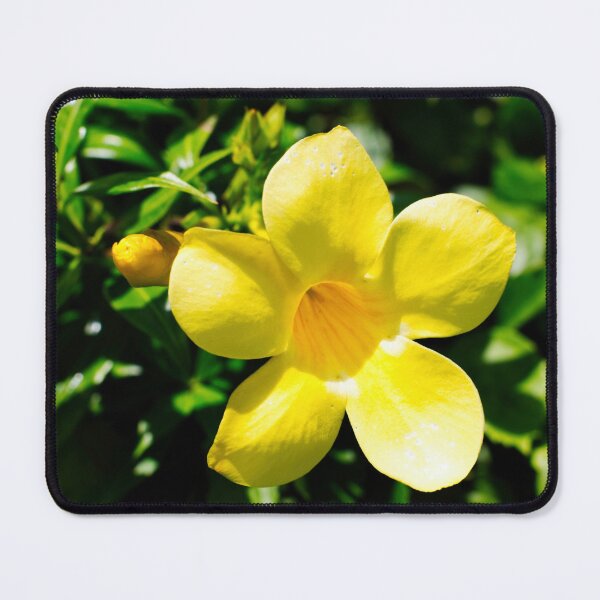 Item preview, Golden Bloom in Sunlight designed and sold by wendyhattonphotography.