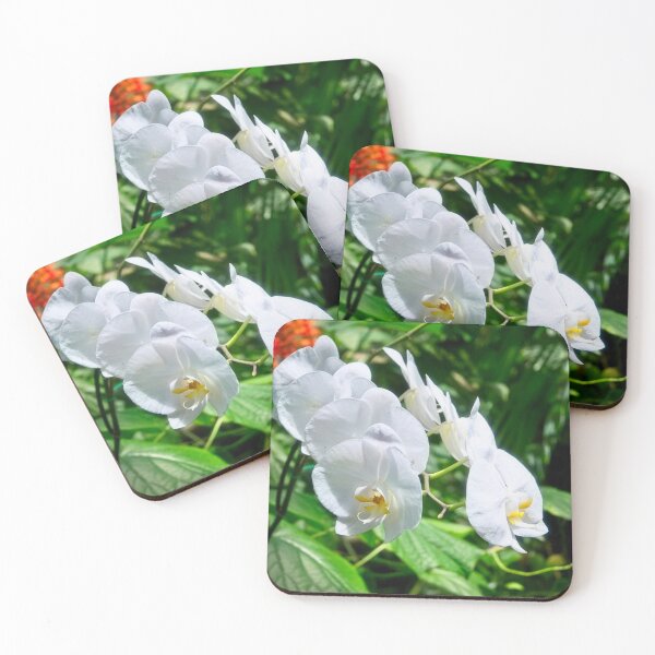 Item preview, White Orchids in Tropical Light designed and sold by wendyhattonphotography.