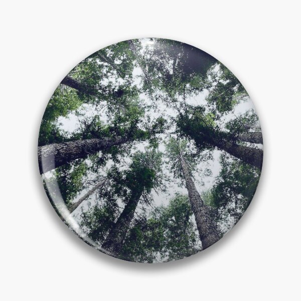 Item preview, Redwood Forest  designed and sold by celinesmagic.