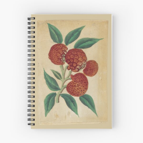 Item preview, 1800s Chinese Lychee drawing designed and sold by makimikoo.