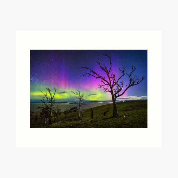 Item preview, Aurora Treescape designed and sold by James Garlick.