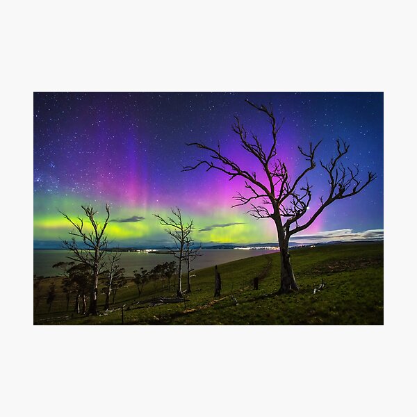 Item preview, Aurora Treescape designed and sold by James Garlick.