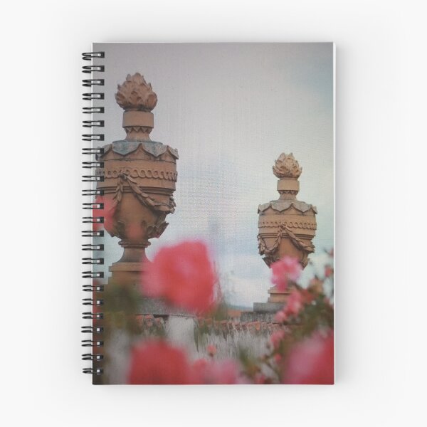 Item preview, Ornate Garden Urns with Roses designed and sold by Markjueazley.