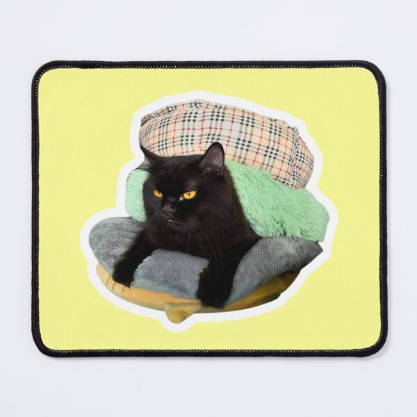 Item preview, Cozy? Not My Choice Black Cat PNG designed and sold by Xuemisi.