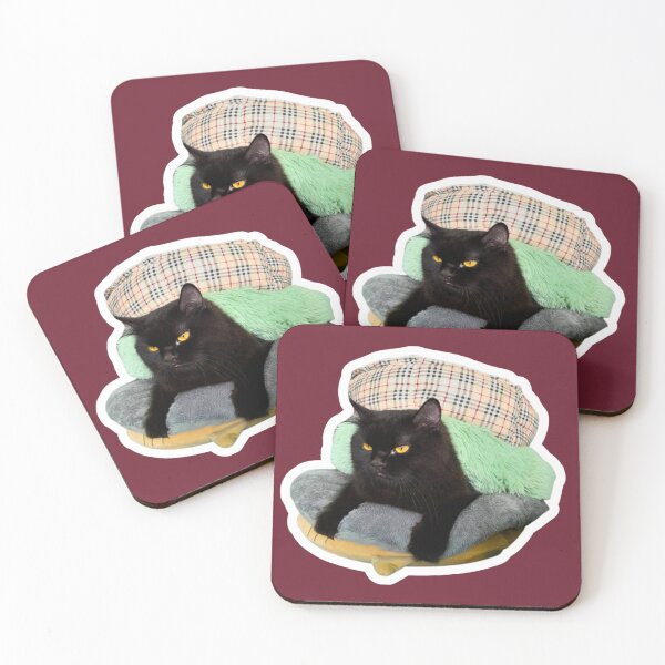 Item preview, Cozy? Not My Choice Black Cat PNG designed and sold by Xuemisi.