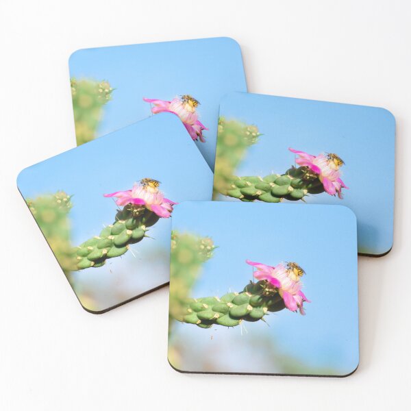 Item preview, Bee on Pink Cactus Flower designed and sold by BeeLightPhotos.