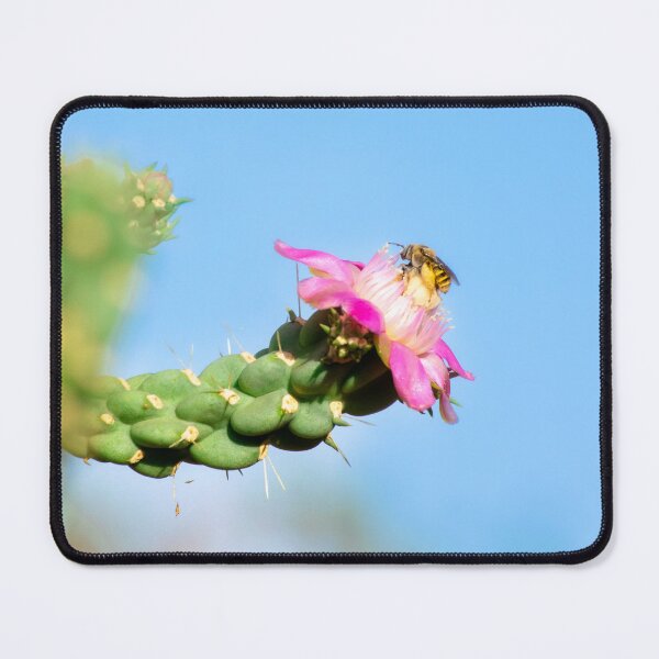 Item preview, Bee on Pink Cactus Flower designed and sold by BeeLightPhotos.
