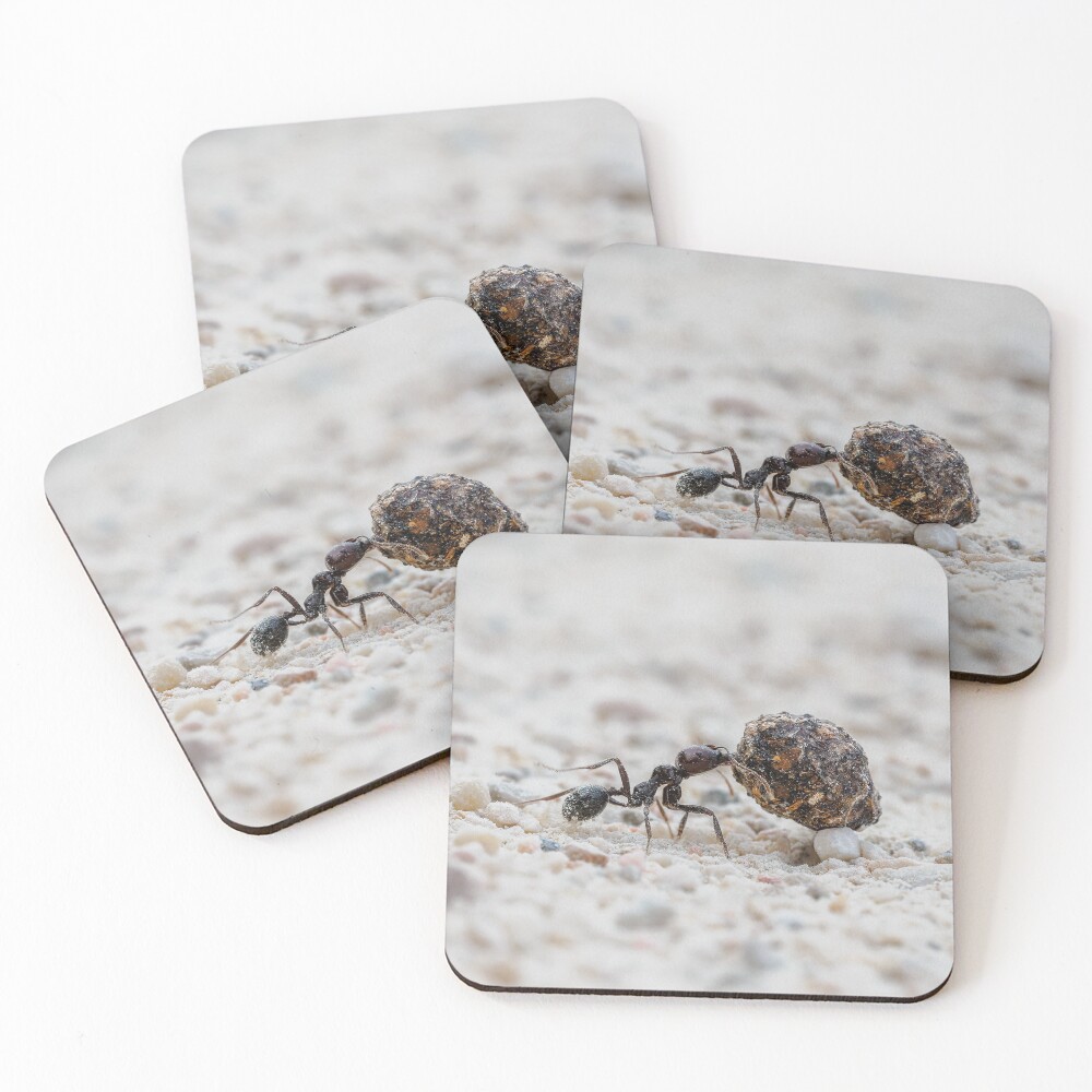 Item preview, Coasters (Set of 4) designed and sold by RalphGoldsmith.
