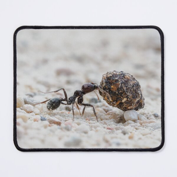Item preview, Mighty Ant designed and sold by Ralph Goldsmith.