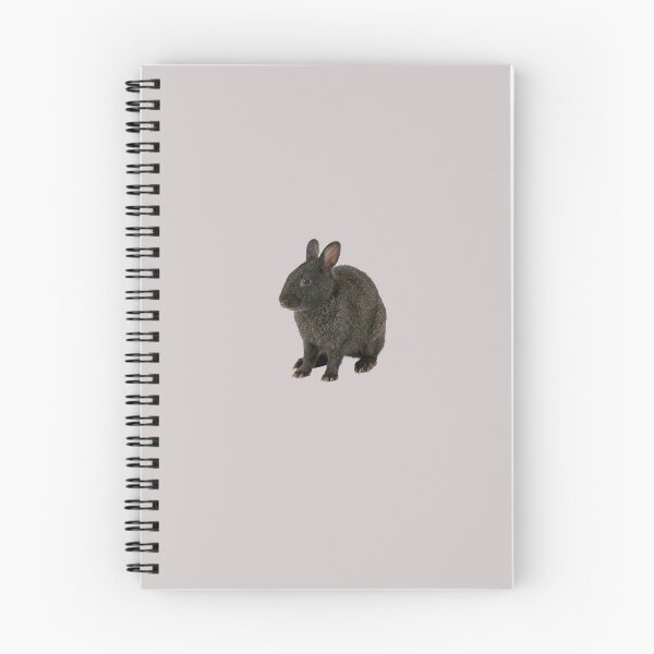 Item preview,  Amami rabbit  designed and sold by ArunDandiboina.