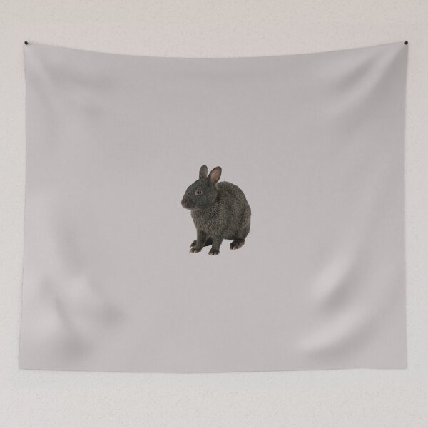 Item preview,  Amami rabbit  designed and sold by ArunDandiboina.