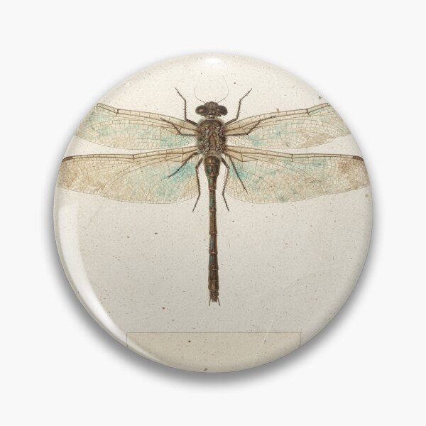Item preview, Vintage Dragonfly Specimen Natural History Plate designed and sold by PictorialWhimsy.