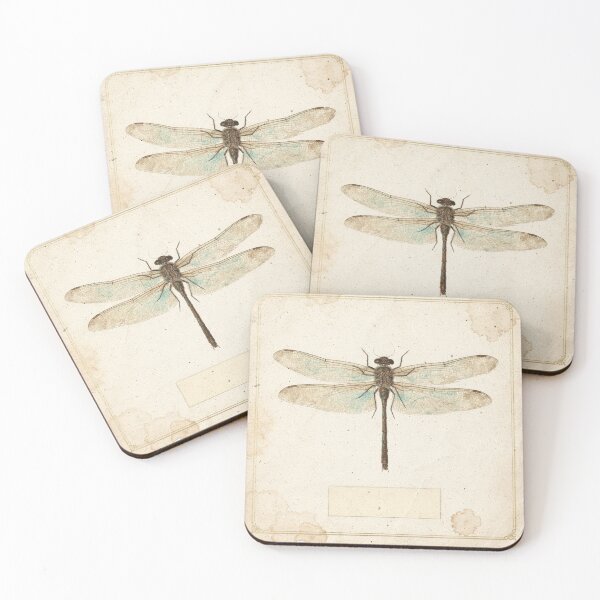 Item preview, Vintage Dragonfly Specimen Natural History Plate designed and sold by PictorialWhimsy.