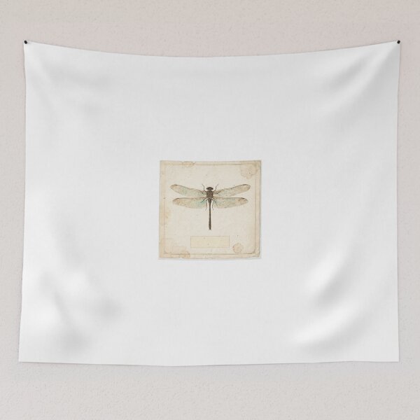 Item preview, Vintage Dragonfly Specimen Natural History Plate designed and sold by PictorialWhimsy.